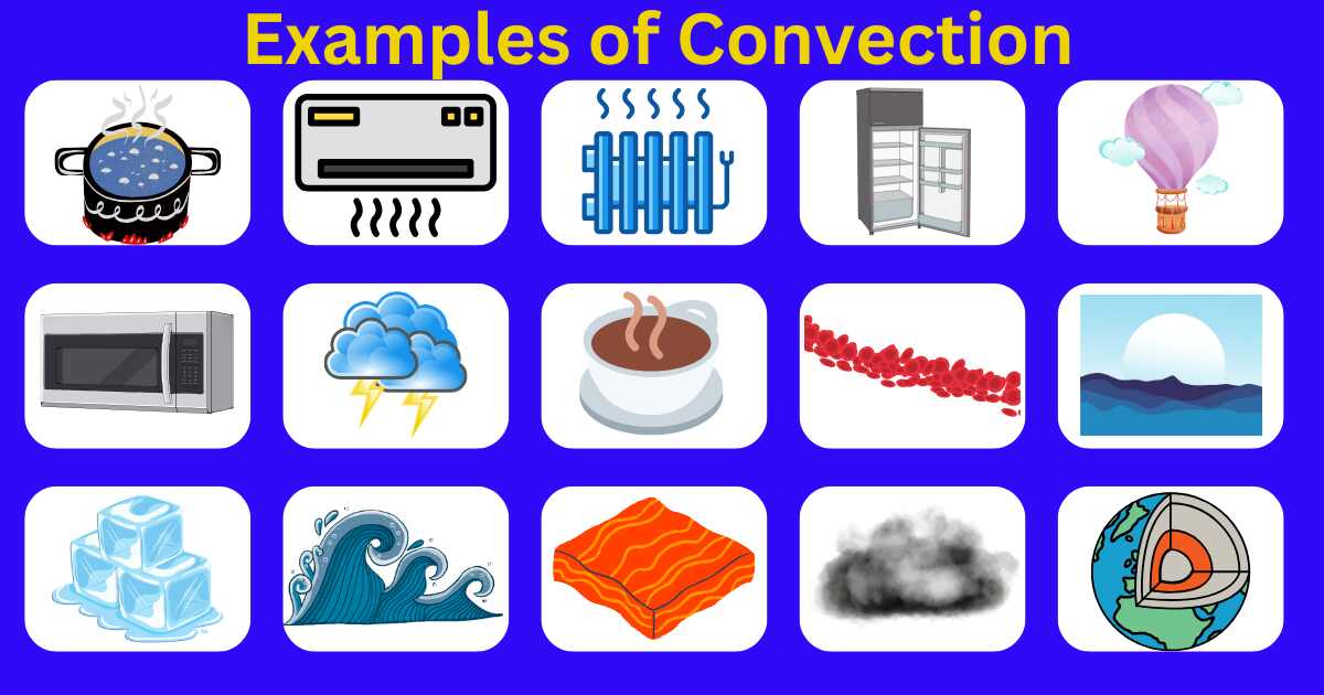 Examples of Convection