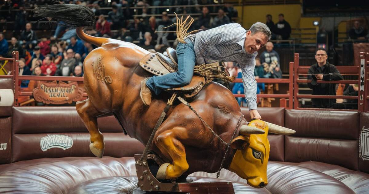 Mechanical Bull